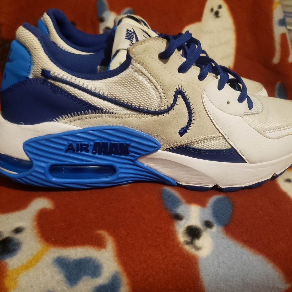 Nike Kids Air Max Sneakers - White and Blue